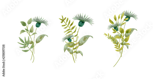 Diverse Greenery Sprigs With Blue Thistle Elements In Watercolor Style