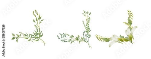 Three Greenery Sprigs Watercolor Arrangement Across White Background