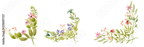 Colorful Botanical Flower Sprigs Arrangement on Transparent Background