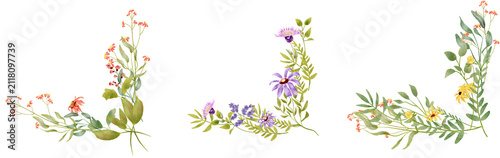 Colorful Wildflowers Aligned Across Black Band
