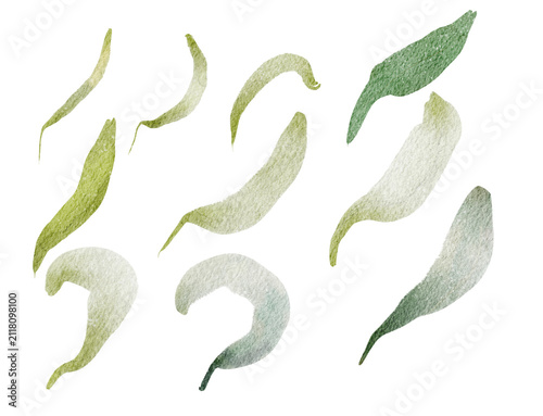 Curved Green Leaf Shapes on Transparent Background