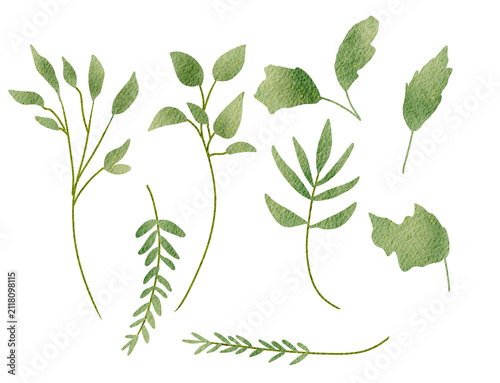 Green Leafy Sprigs Arrangement on Transparent Background