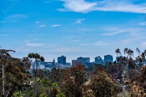 View of Downtown San Diego, California from Balboa Park