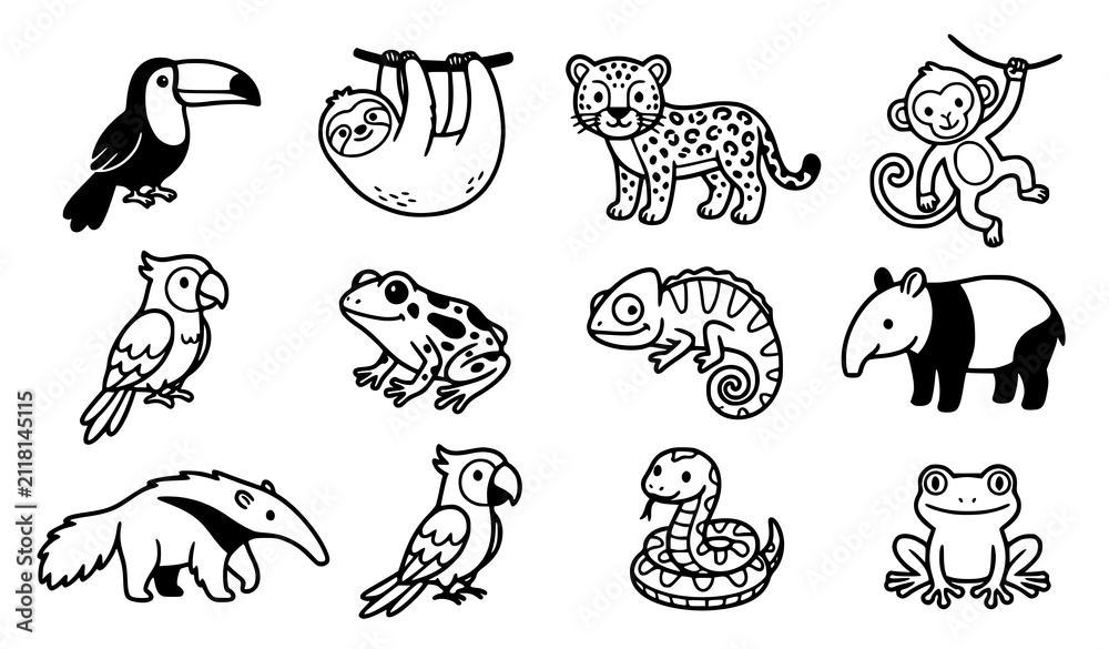 Obraz premium Cute Rainforest Animal Icon Set Collection of Toucan Sloth Jaguar Monkey Frog and Chameleon Vector Illustration