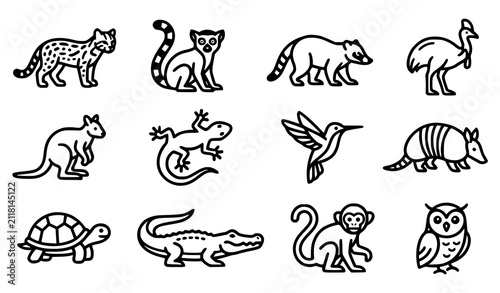 Photography Rainforest Animal Line Icon Set Collection of Ocelot Lemur Coati Kangaroo Lizard