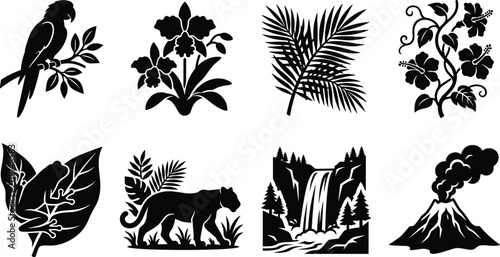 Black and white tropical nature and wildlife vector icons set for exotic exploration