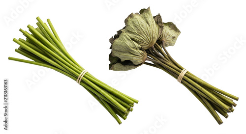 Fresh bundle of green onions on white background.