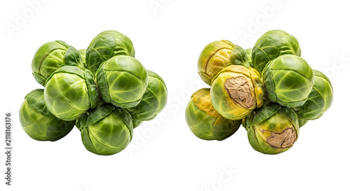 Fresh Brussels Sprouts On White Background.