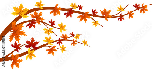 Autumn Maple Tree Branch Illustration