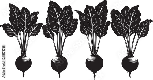 Foto Four Beetroots with leafy greens arranged vertically in a graphic illustration s
