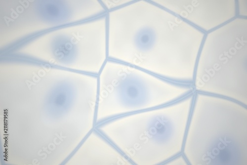 Canvastavla Abstract cellular structure with nuclei