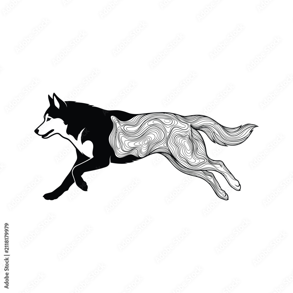 Fototapeta premium Running fox