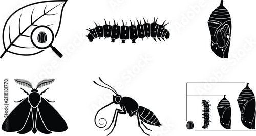 Fotografía Butterfly and Moth Life Cycle Silhouette Icons Set Depicting Metamorphosis Stage