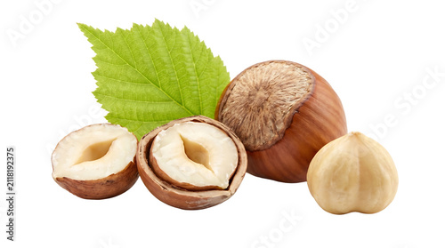 Fresh hazelnuts with green leaves as isolated object