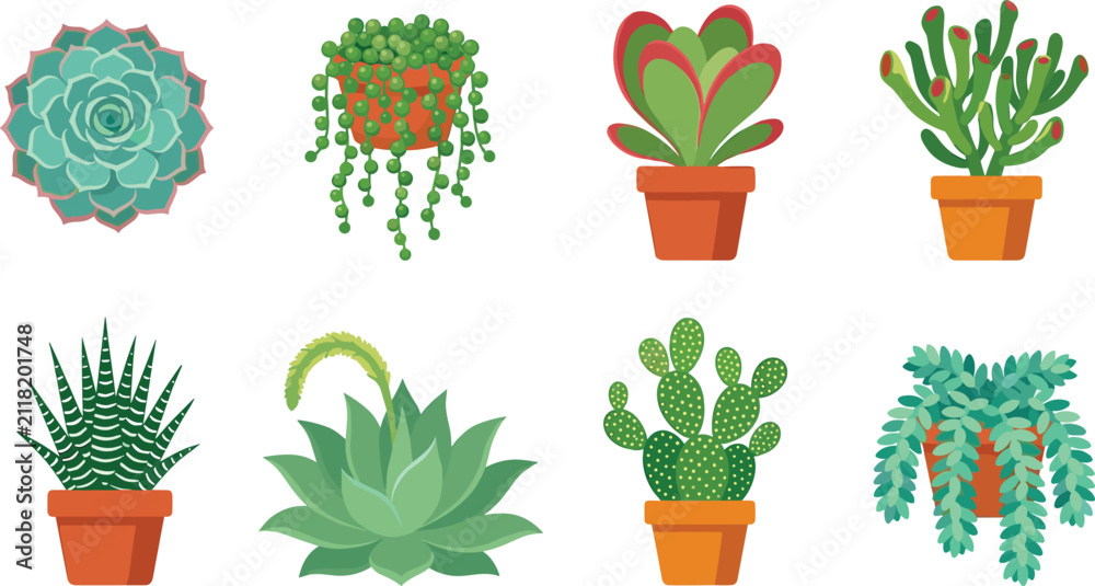 Fototapeta premium Potted succulent and cactus plants vector collection featuring various green houseplant icons and botanical elements