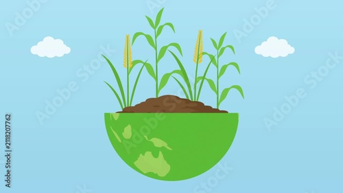 planet earth with corn and wheat crop grow on. Global agriculture and food security