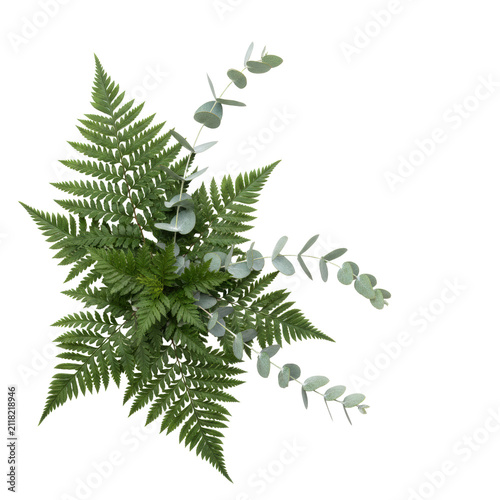 Asymmetrical floral arrangement with lush forest-green fern leaves and delicate silvery-blue eucalyptus sprigs on a transparent background, botanical elegance