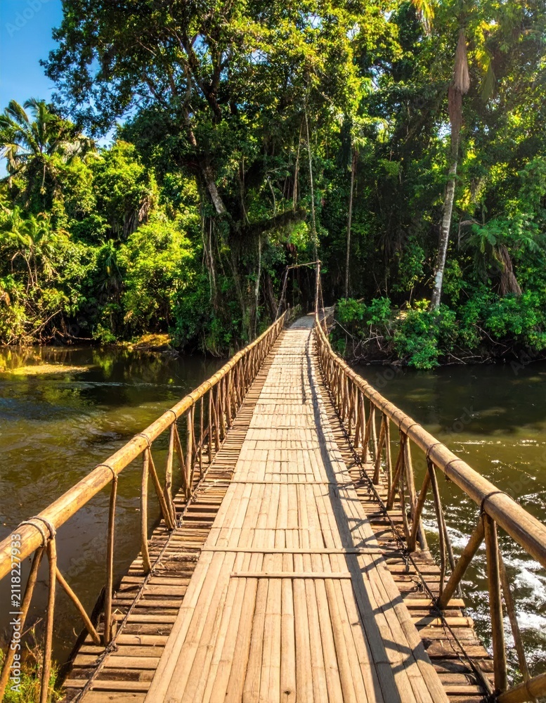 Obraz premium Bamboo suspension bridge crossing a tropical jungle river.