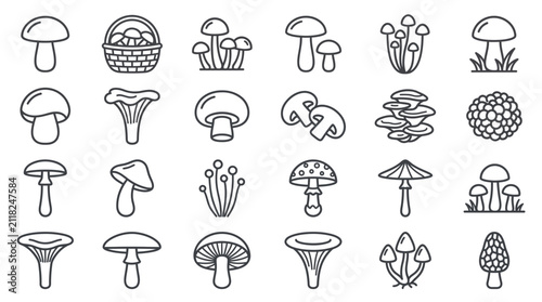 Obraz na płótnie Forest mushroom line icon set