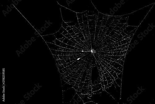 Close-up of realistic spider web with dew drops on black background.