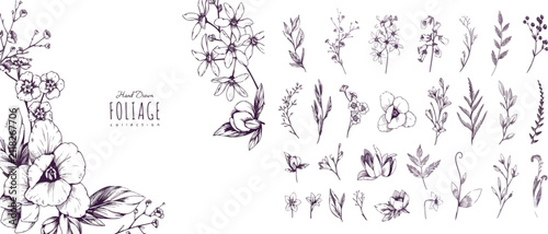 2026 Exclusive Hand-Drawn Foliage and Floral Collection: Elegant Botanical Line Art Sketches, Leaves, and Blooming Branches for Modern Graphic Design