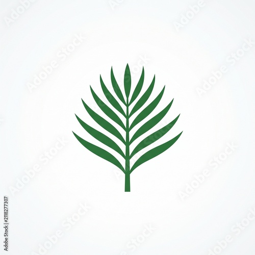 Symmetric green palm frond leaf vector illustration, isolated on a clean white background.