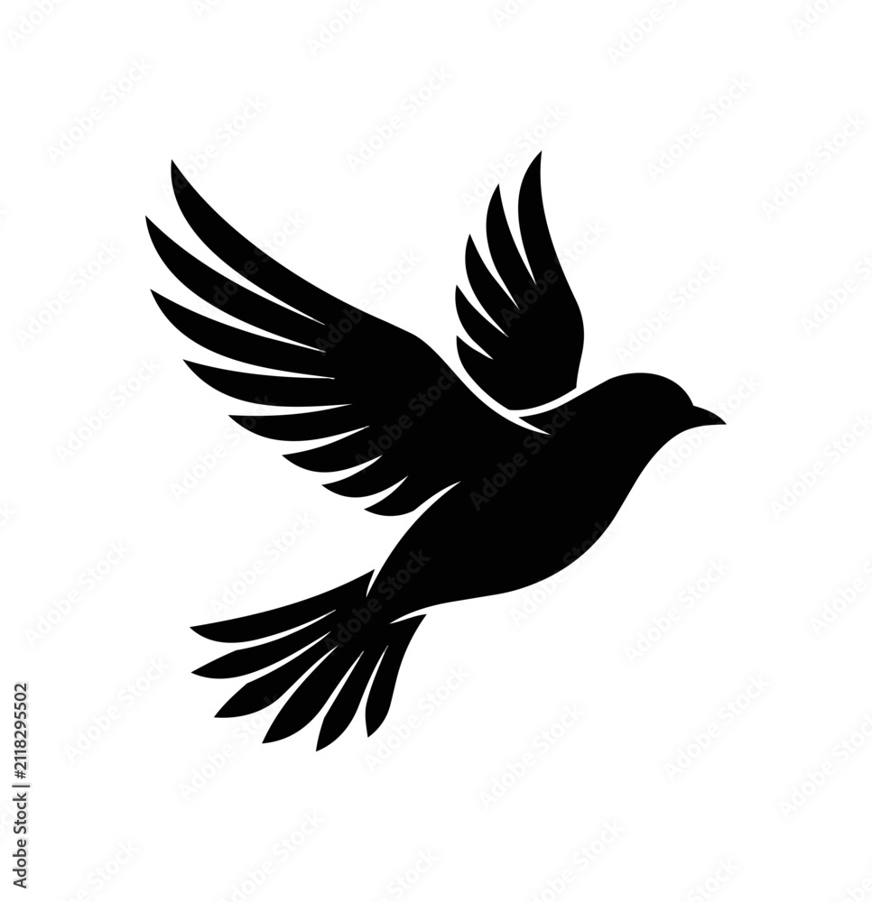 Fototapeta premium Silhouette of a Bird in Flight with Wings Spread.