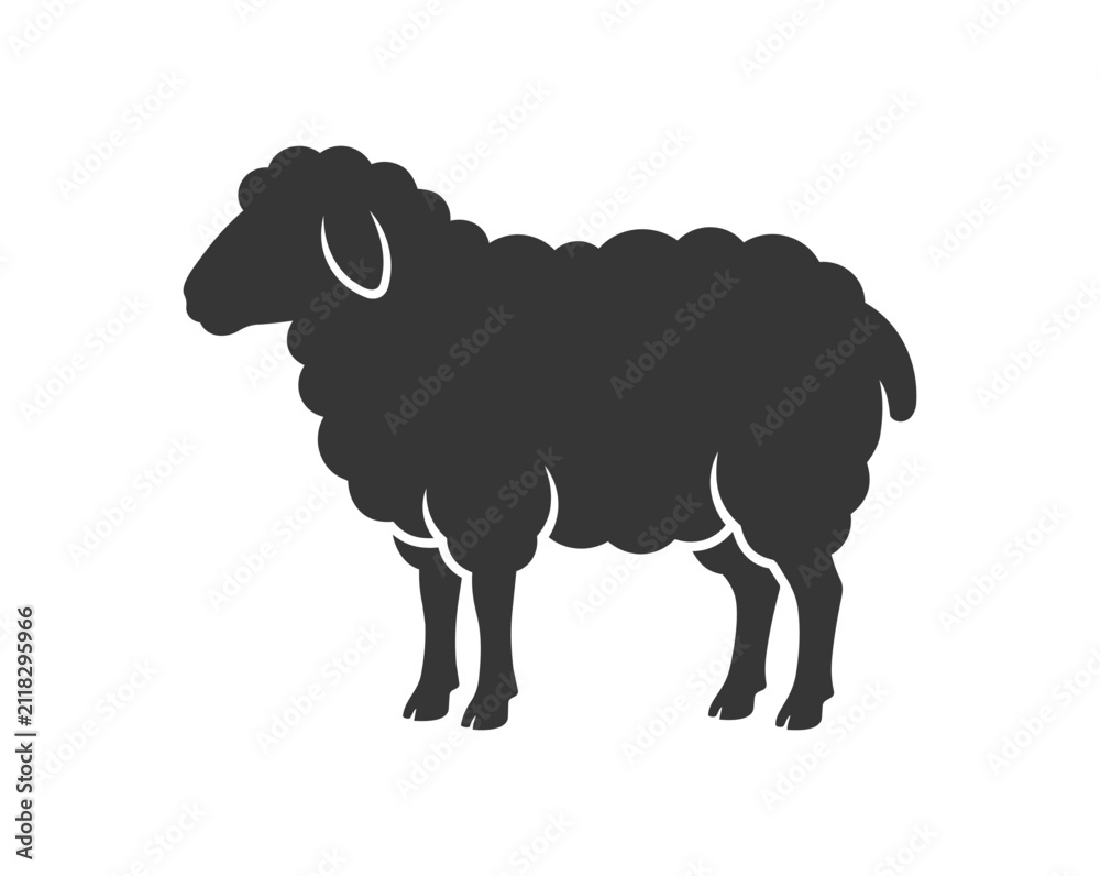 Obraz premium Silhouette of a Black Sheep Standing Still.