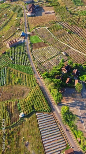 documentary scene. Aerial shot ascending over rural agricultural fields, houses, and winding road, revealing distant forested landscape.