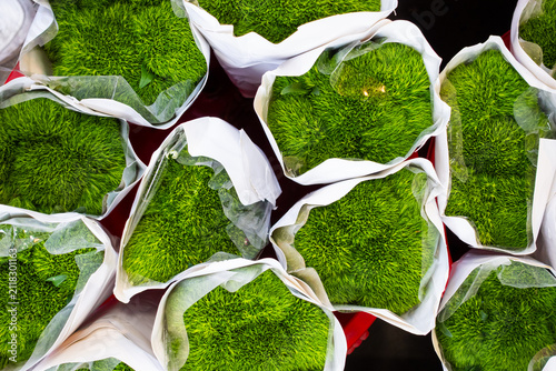 Photography Fresh green preserved moss arranged in paper wrapping