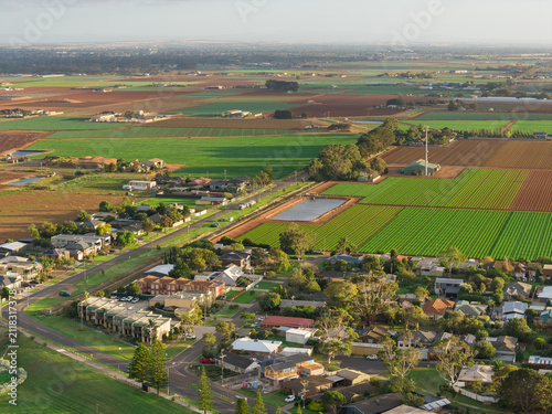 Aerial view of suburban housing running into green fields of a market garden