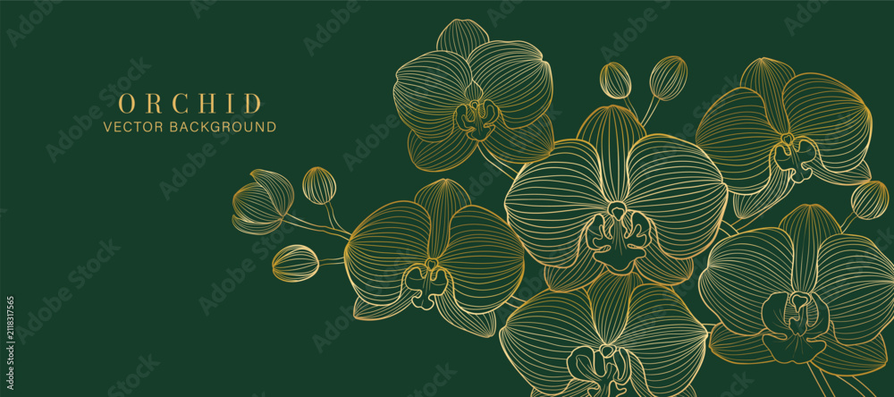 Obraz premium Luxury golden Orchid flower line art background vector. Natural botanical elegant flower with gold line art. Design illustration for decoration, wall decor, wallpaper, cover, banner, poster, card.
