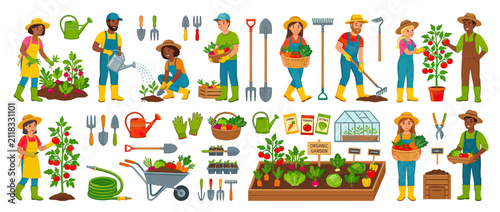Foto Diverse Gardeners Cultivating Plants and Vegetables