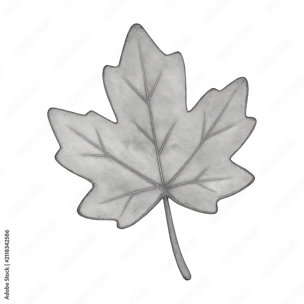 Fototapeta premium PNG Monochrome sketch maple leaf