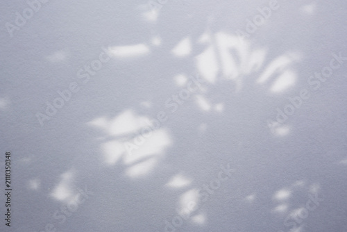 soft colors paper background with flowers shadows, natural sunlight