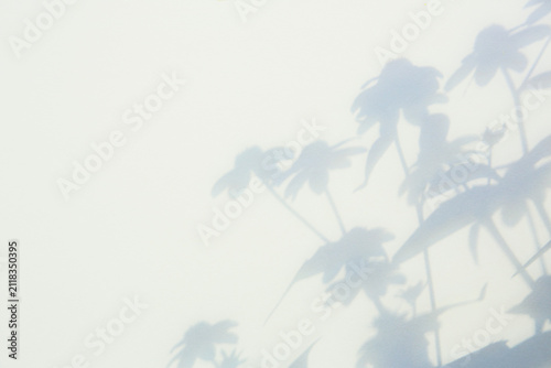 soft colors paper background with flowers shadows, natural sunlight