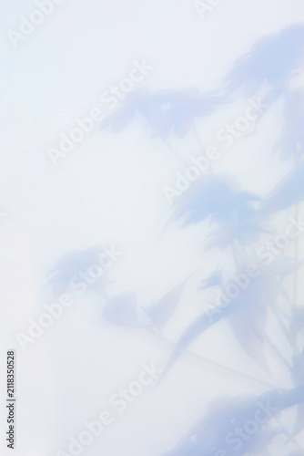soft colors paper background with flowers shadows, natural sunlight