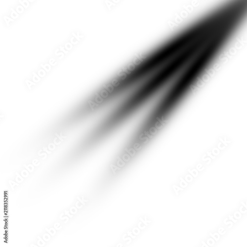 Single soybean pod with delicate details during bright studio illumination isolated on transparent background