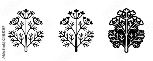 Bild auf Leinwand Delicate Dill Herb Vector Icons, Botanical Illustration Set, Culinary Ingredient