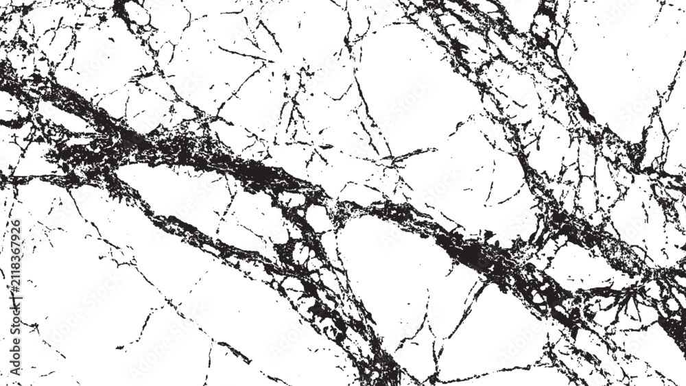 Fototapeta premium High contrast black and white abstract marble texture background with heavy cracked vein pattern and distressed grunge effect