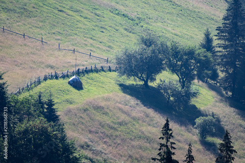 Принти на полотні Close view of a fenced knoll with a lone boulder among orchard trees Sunlit gras