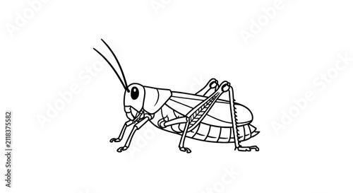 Cuadro en lienzo Detailed illustration of a grasshopper insect.