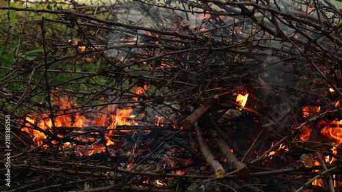 Closeup burning campfire, fire flames on wood logs and tree branches in forest