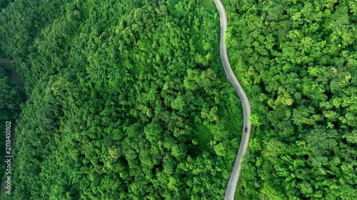 Aerial forest road with car creating abstract background for electric vehicle, ESG, sustainability and green investment business concepts.