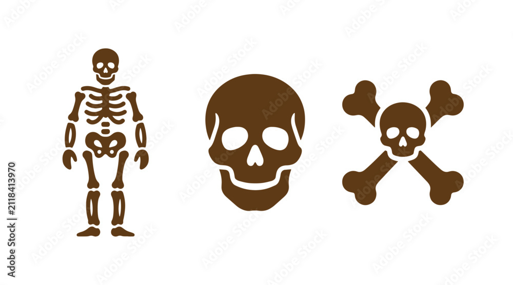 Fototapeta premium Set of skull and crossbones and skeletal anatomy icons with skeleton crossbones skeletal structure illustration isolated education research scientific