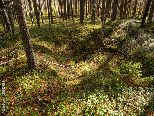 Russia, Republic of Karelia, overgrown WW2 trenches in the forest near the Kola highway between St. Petersburg and Murmansk.
