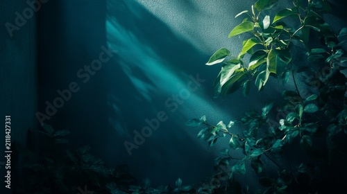 Sunlit foliage against a dark wall. Deep teal tones, moody atmosphere