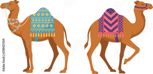 Photography Traditional camel collection, decorative desert caravan animals with colorful bl