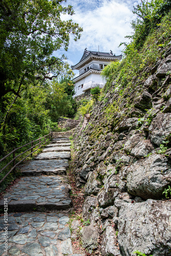 Konstfotografi 和歌山県にある和歌山城天守と国の史跡になっている城壁