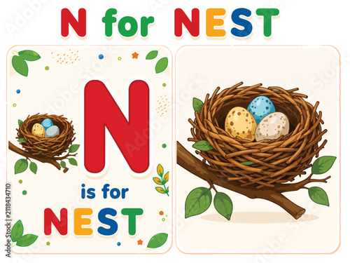 Alphabet flashcard for letter N is for Nest, educational bird nest with eggs illustration, preschool phonics learning vector for children
